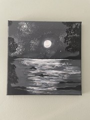 Midnight By The Lake