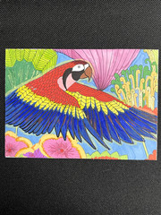 ACEO Original, Abstract Parrot Bird Colorful, Mini Art Painting, by Annibbie