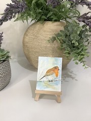 ACEO By Kenna Original Watercolour Painting Red Breasted Robin 2.5” X 3.5” ATC