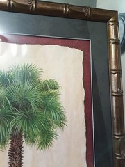 Carabe Palm l & li By Steve Butler Tropical Tree Contemporary (1970-2020)