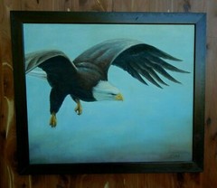Majestic American Eagle in Flight, an Original Oil Painting. Excellent Conditon.