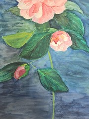 Watercolour Painting on Cardboard – Pink Flowers / 70x50cm by Kühhhirt 2001 – No Frame