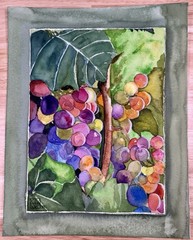 Painting by M. Hackney Grapes Fruit Harvest Watercolor, Signed, Original, 8×10″
