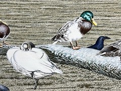 Tom Smith Original Painting “Day Trip” Ducks -Acrylic On Panel 1995 -24×40”