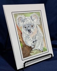 Australian Koala 7″ x 5″ Original watercolor comes in acid free sleeve
