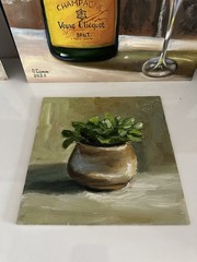original oil painting still life 20х20cm Semi-abstract small money tree, plant