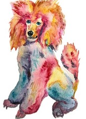 Original Peach Pink poodle dog art Signed Painting,dog lover Best gift 5×7″