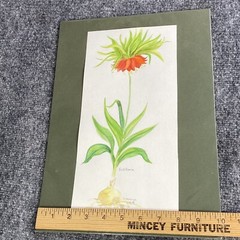 VTG Signed Botanical Watercolor Fritillaria Flower Study B Westbrook Dated 1998