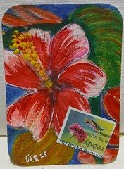 Postal Whimsy – Forever Stamp Hummingbird & Hibiscus OOAK ACEO Watercolor Impres