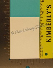 Rhino Fly sun flower Fantasy bug ACEO EBSQ Kim Loberg animal Mini Art wildlife