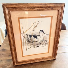 Mads Stage – Long-billed Bird & Chicks Watercolor Sketch, Framed Matted Signed