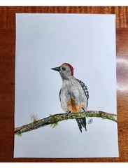 Daily painting Watercolor.