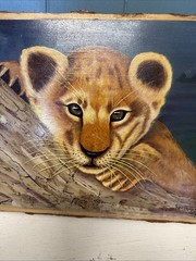 Vtg Lion Cub Portrait Original On Tree Bark Wall Art Decor Signed Wm. Stephan MD