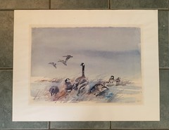 Vintage Ed Walaitis Watercolor Canada Geese in The Brush Print c. 22” x 28”