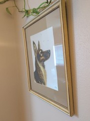 VTG Hand Painted German Shepherd Dog Portrait on Gold Silk Matted~Framed~Signed