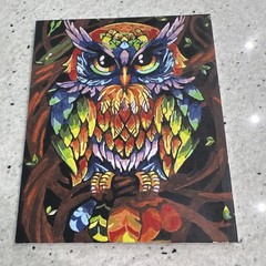 Abstract Owl Animal Painting on Canvas, Unframed 19 /15 in Small Artwork