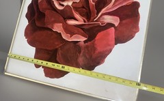 Vntg MCM Original Oil Painting Pink Red Rose Still Life 24” X 24” Set Of 2
