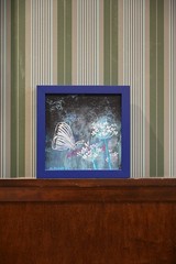 Butterfly in White acrylic painting with Queen Anne’s lace