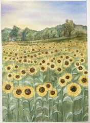 Sunflower Landscape Italy Watercolor Original Painting