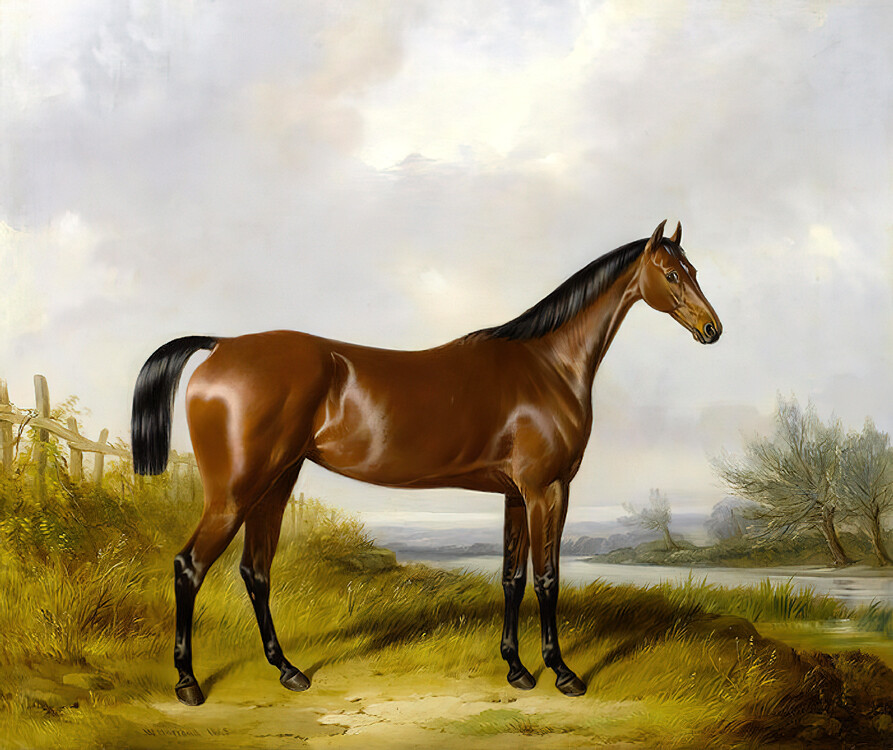 A Bay Hunter By A River oil painting Giclee Art Printed on canvas L3660