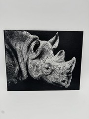White Rhino – Oil On Canvas 8×10 Original Artwork