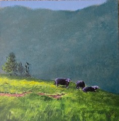 Cows, mountside, 6×6, ready to frame