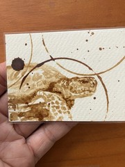 Original Coffee Turtle Painting ACEO Miniature Realism ATC Art Gift Reptile USA