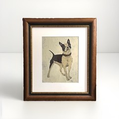 Boston Bull Terrier Oil Study on Board Under Glass