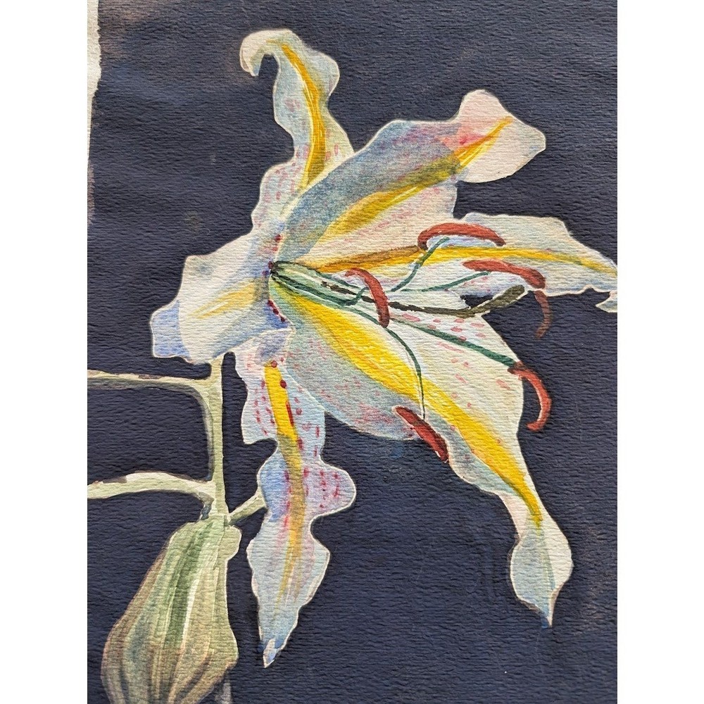 Vtg Still Life Watercolor 10×16 Flower Lilie Signed Teri Banas Minimalist Moody