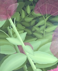 „SEDUM“, acrylic on linen, 26″ x 32″, 2007/2019, Crassulaceae, sedum, sedeae