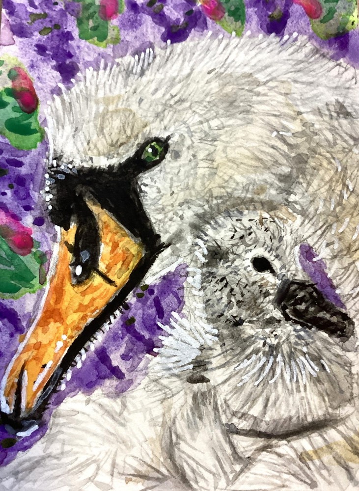 Mother and baby swan watercolor original painting ACEO