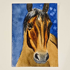 ACEO Horse Watercolor Painting Signed 2026