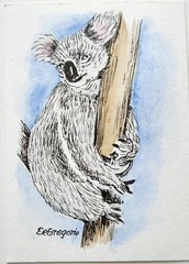 ACEO Original „Koala“ Painting