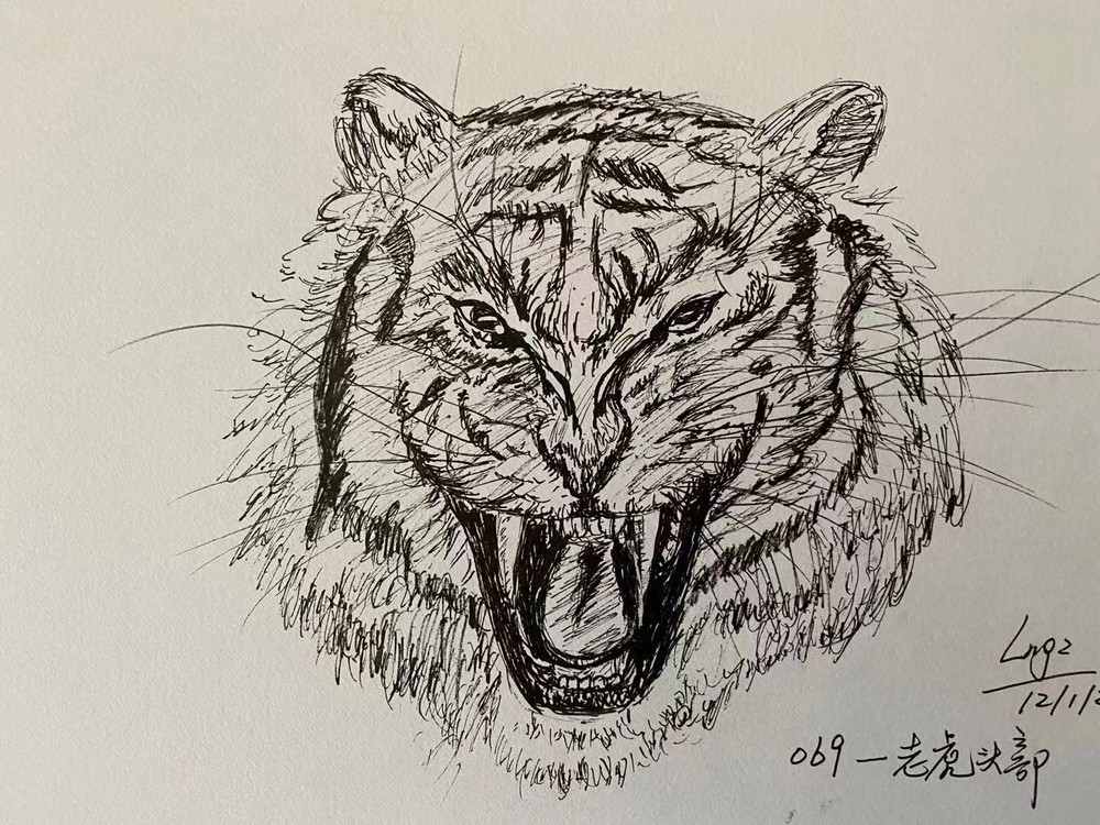 Pen and Ink Quick Drawing Tiger Head on Canson Mix Media Paper 7×10″