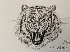 Pen and Ink Quick Drawing Tiger Head on Canson Mix Media Paper 7×10″