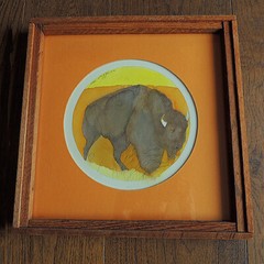 a signed original water color painting by sari staggs portraying a buffalo