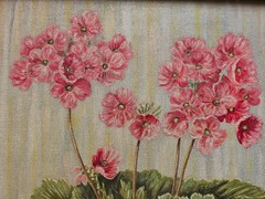 No.: 956 oil painting with frame picture painting oil painting still life flowers