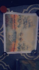 oil painting swan lake elaine hand painting canvas painting