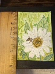 aceo original art painting Coneflower And Beetle