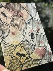 Summer Picnic original ACEO Watercolor painting Insect nature garden OOAK bug