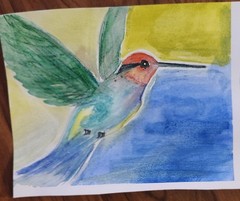 Hummingbird Contemporary Pop Art Watercolor Painting 5×7 Signed