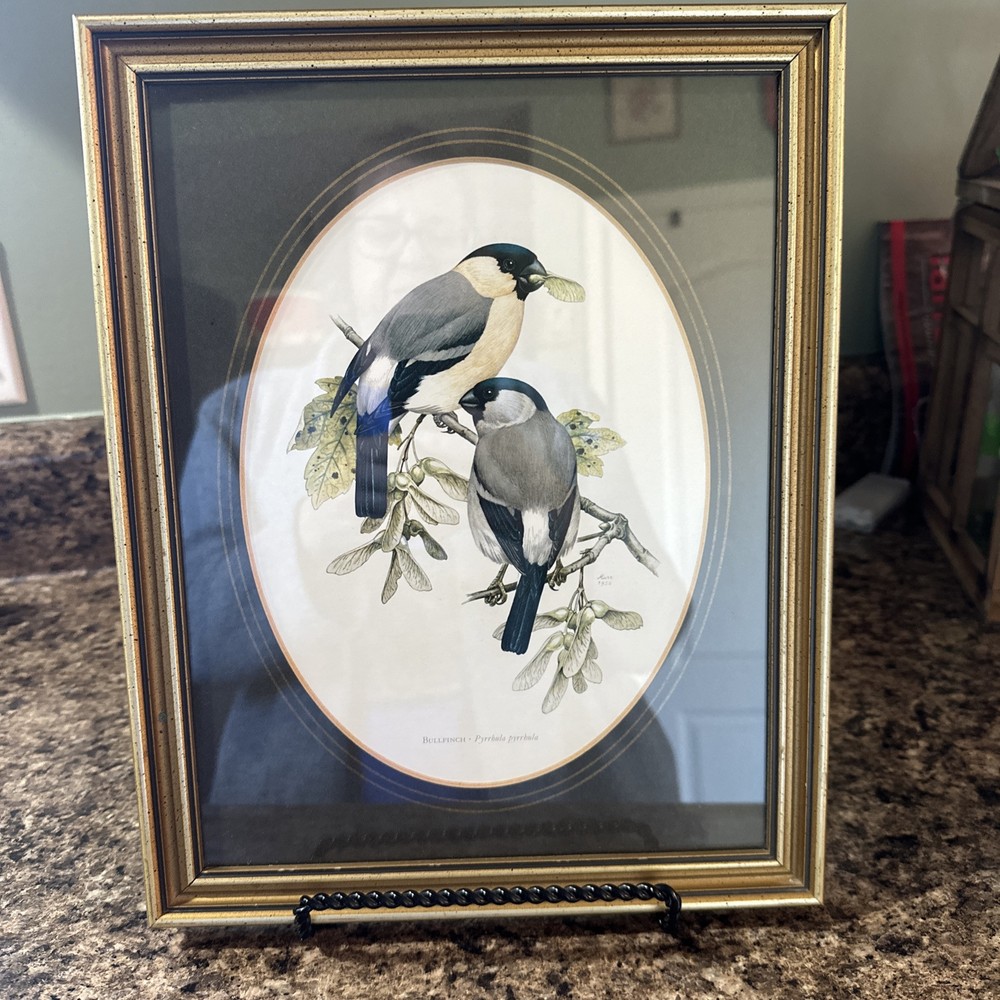 Set Of 4 John Murr Paintings 1956-1950 (Excludes1958) Manuscript Limited