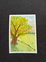 ACEO original watercolor, 2.5 x 3.5 “Beneath the Old Oak” signed and dated OOAK