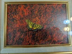 Yellow & Black Butterfly Relief Mixed Media Art Signed Japanese Texture Painting