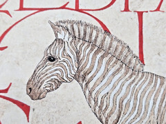 Dee Ann Segula, MI Zebra Equus Grevy original pen & watercolor painting