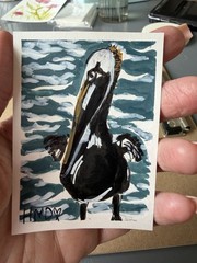 aceo original painting “The Pelican”