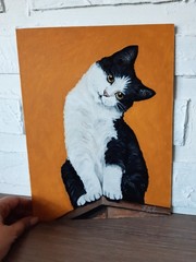 Black and White Cat Painting Cat Green Eyes Oil Artwork 12 x 9 Animal Art