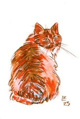 Ginger Cat Watercolor 7×5 Fluffy Blue-Eyed Feline Portrait Signed Art
