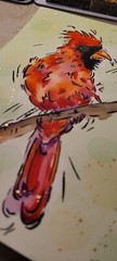 Bold Male Cardinal Bird watercolor painting original
