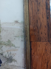 Antique 19th C. Watercolor Silhouette Lady in landscape Orig. Rosewood Frame